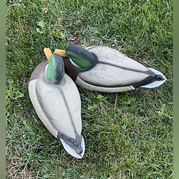 Greenhead Gear Hunting Plastic Floating Duck Mallard Decoys - Picture 13 of 13